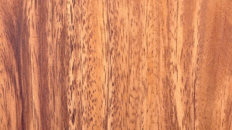 5 Nachteile von Akazienholz, die du noch nicht kennst