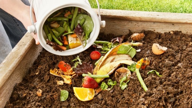 Was gehört in den Kompost