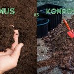 Unterschied Humus Kompost