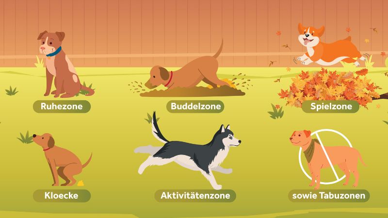 Zonen im hundefreundlichen Garten