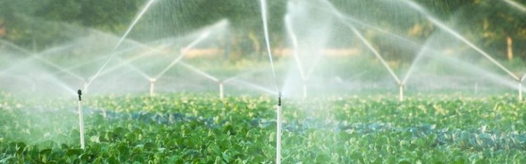 Die 4 besten Bewässerungssysteme im Test Gartenpanda