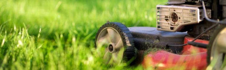 Wie oft und wie lange sollte der Mähroboter mähen [+Tipps]