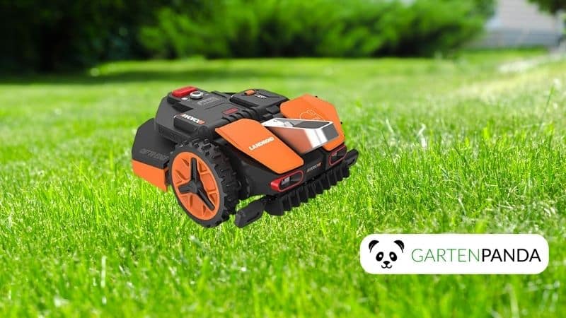 Worx Landroid Vision M800 Test [2024]